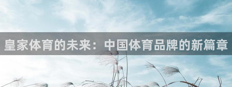 so米体育直播官网入口：皇家体育的未来：中国体育品牌的新篇章