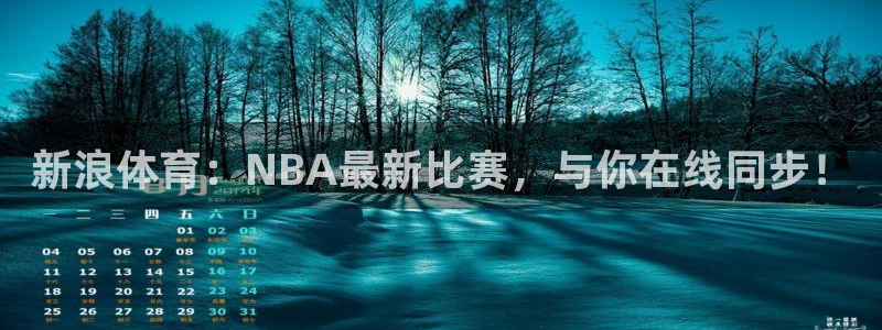 so米体育直播网站：新浪体育：NBA最新比赛，与你在线同步！
