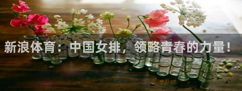 so米体育直播：新浪体育：中国女排，领略青春的力量！