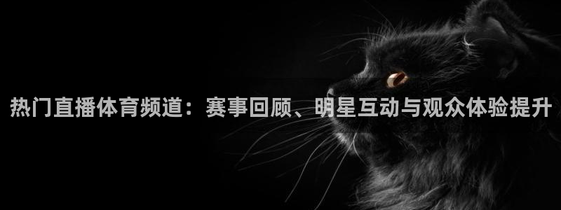 so米体育直播观看：热门直播体育频道：赛事回顾、明星互动与观众体验提升