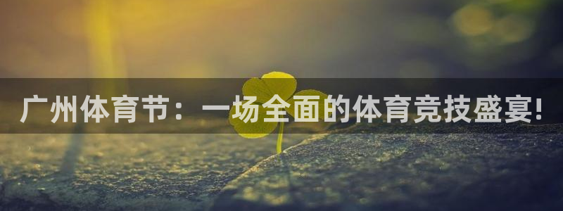 so米体育在线直播：广州体育节：一场全面的体育竞技盛宴!