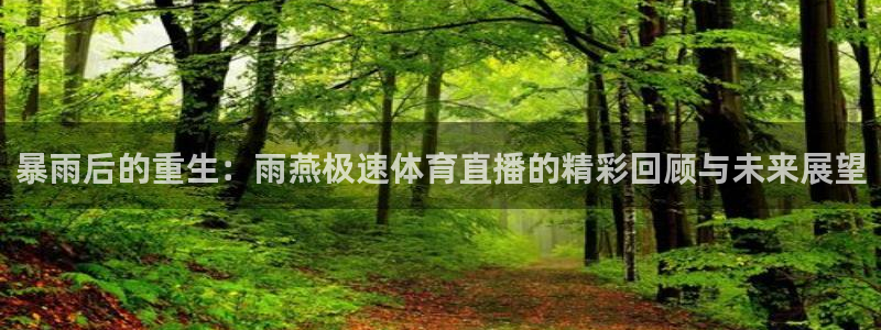 so米直播体育在线观看：暴雨后的重生：雨燕极速体育直播的精彩回顾与未来展望