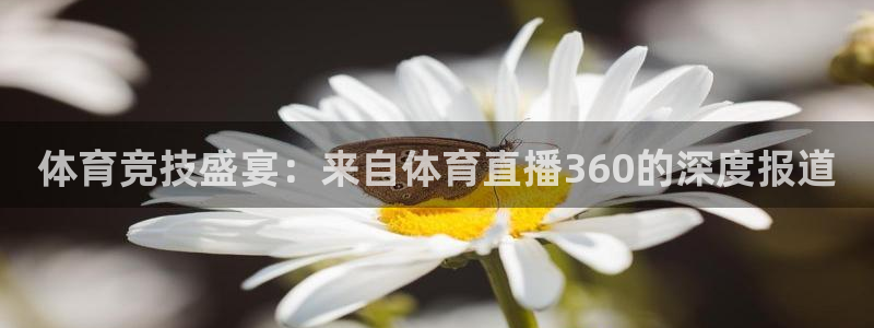 so米直播足球：体育竞技盛宴：来自体育直播360的深度报道