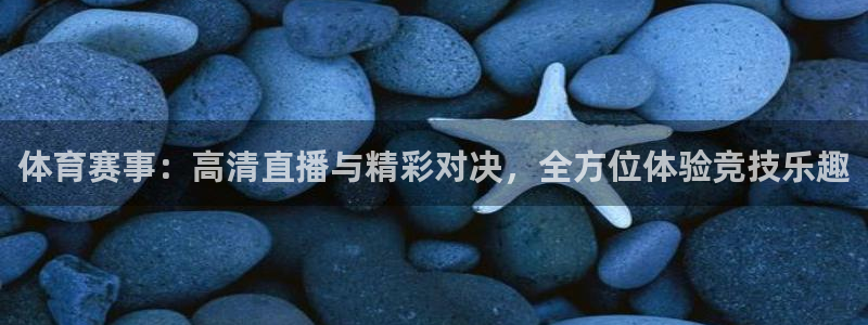 so米体育网页版：体育赛事：高清直播与精彩对决，全方位体验竞技乐趣