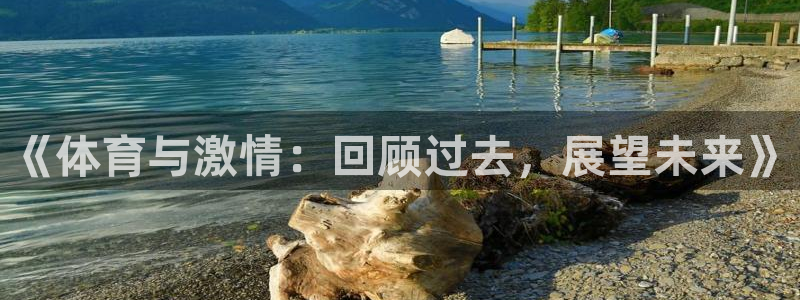 so米体育比赛视频直播：《体育与激情：回顾过去，展望未来》