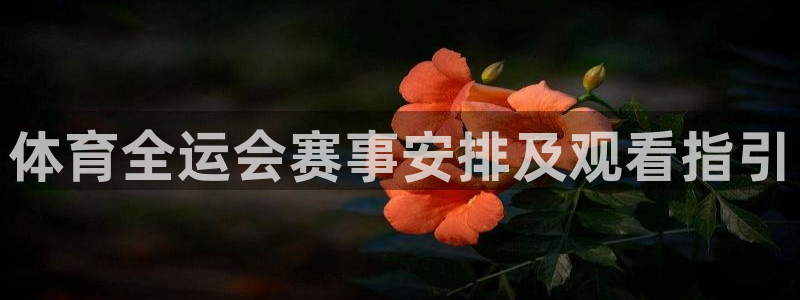 so米体育直播在线直播：体育全运会赛事安排及观看指引