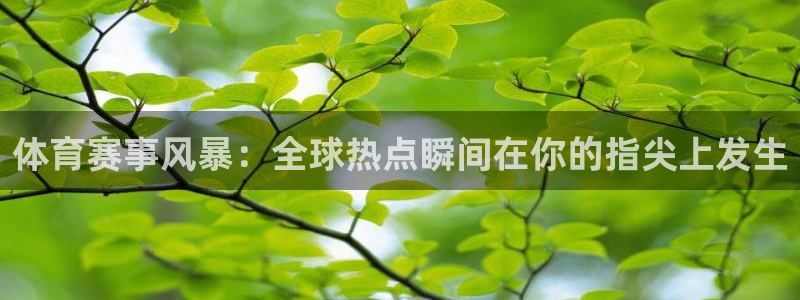 so米直播足球比赛：体育赛事风暴：全球热点瞬间在你的指尖上发生