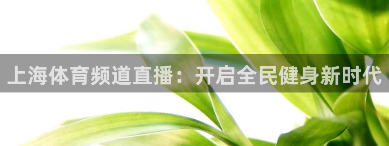 so米直播体育nba：上海体育频道直播：开启全民健身新时代